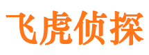 仓山市私家侦探公司